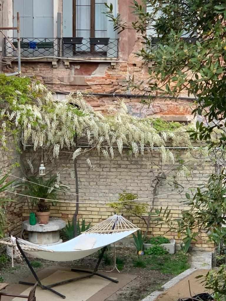 Venezia Naturalmente Esterno foto